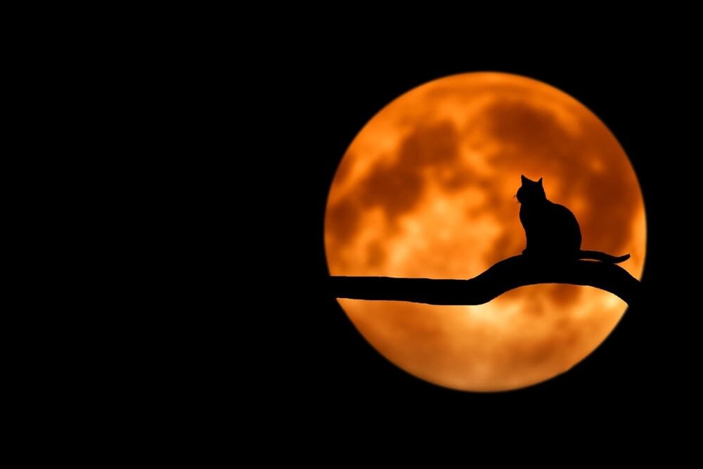 spooky marketing mistakes